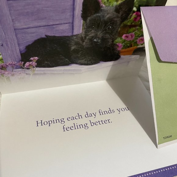 6 Assorted Greeting Cards Animals & Flowers  matching print envelopes - Picture 10 of 14